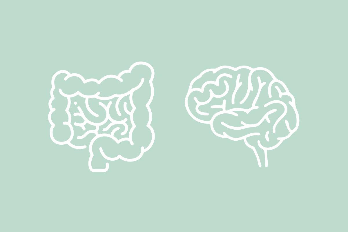 Axe Intestin Cerveau