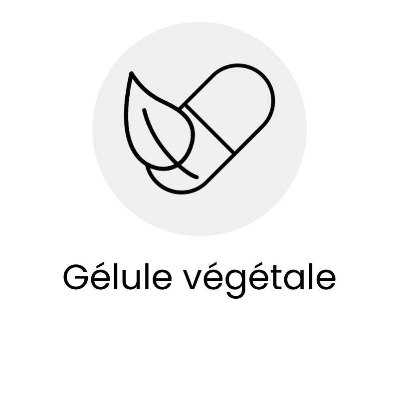 gélule vegetale
