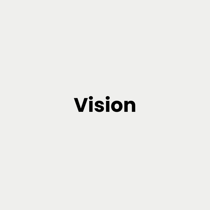 vision
